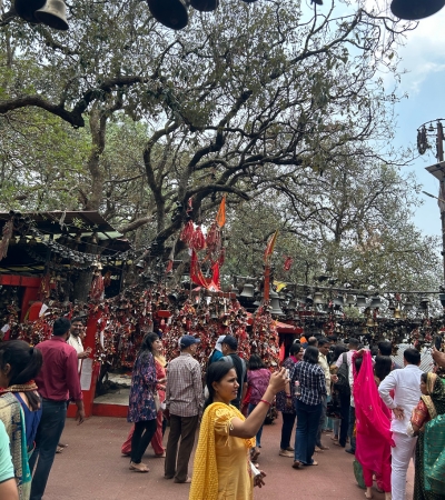 Crowd at Golu Devta Temple